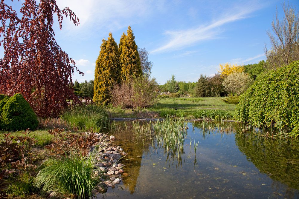 Buitenschilderijen met bossen en parken